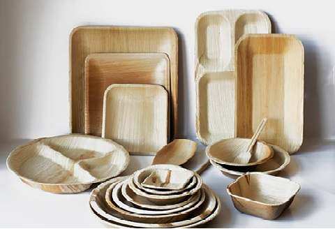 Eco friendly Disposable Products